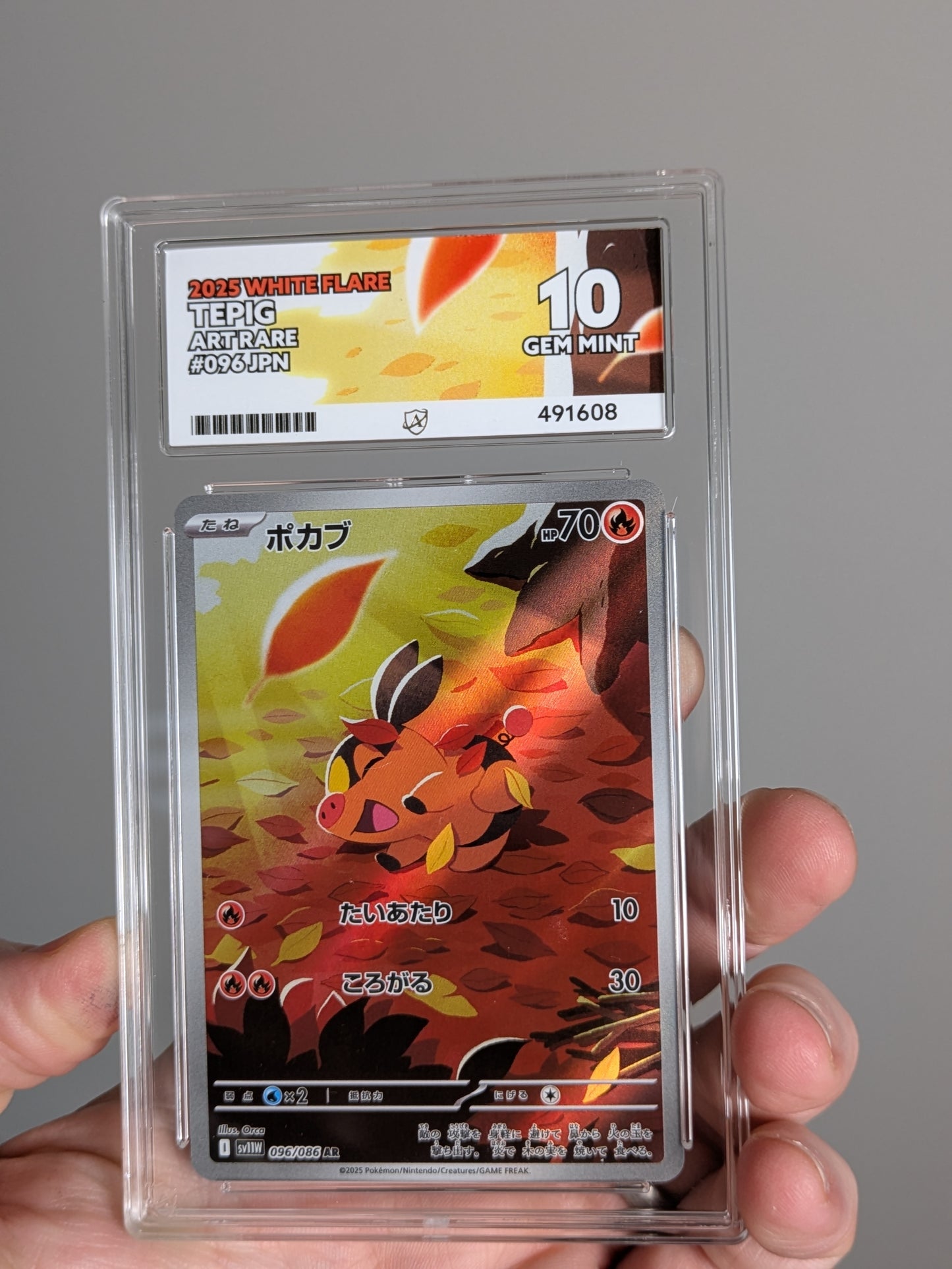 Tepig 096/086 Japanese ACE 10 | Pokémon Graded Card